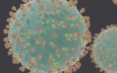 Corona-Virus: Informationen Bistum und Bundesamt